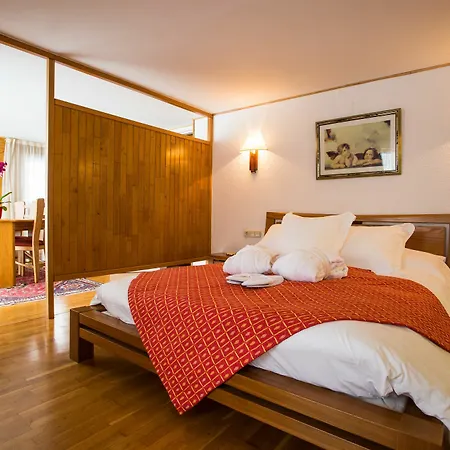 & Llop Gris Hotel 4*
