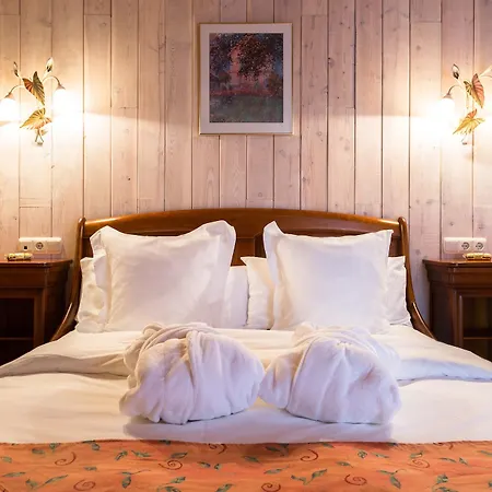 & Llop Gris Hotel El Tarter